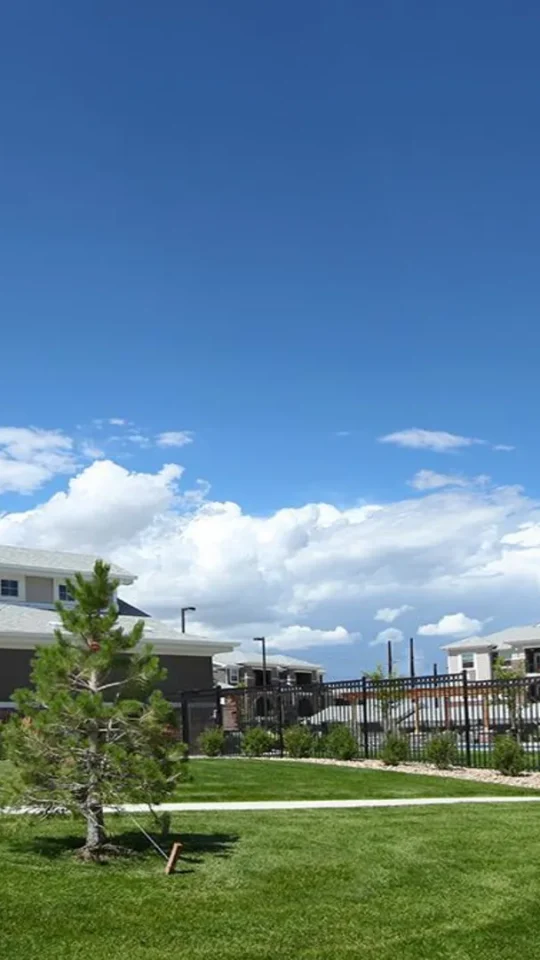 a rendering of a school building with grass and trees at The Outlook Ridge Apartments