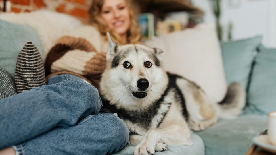 a woman sitting on a couch with a husky dog at The Outlook Ridge Apartments